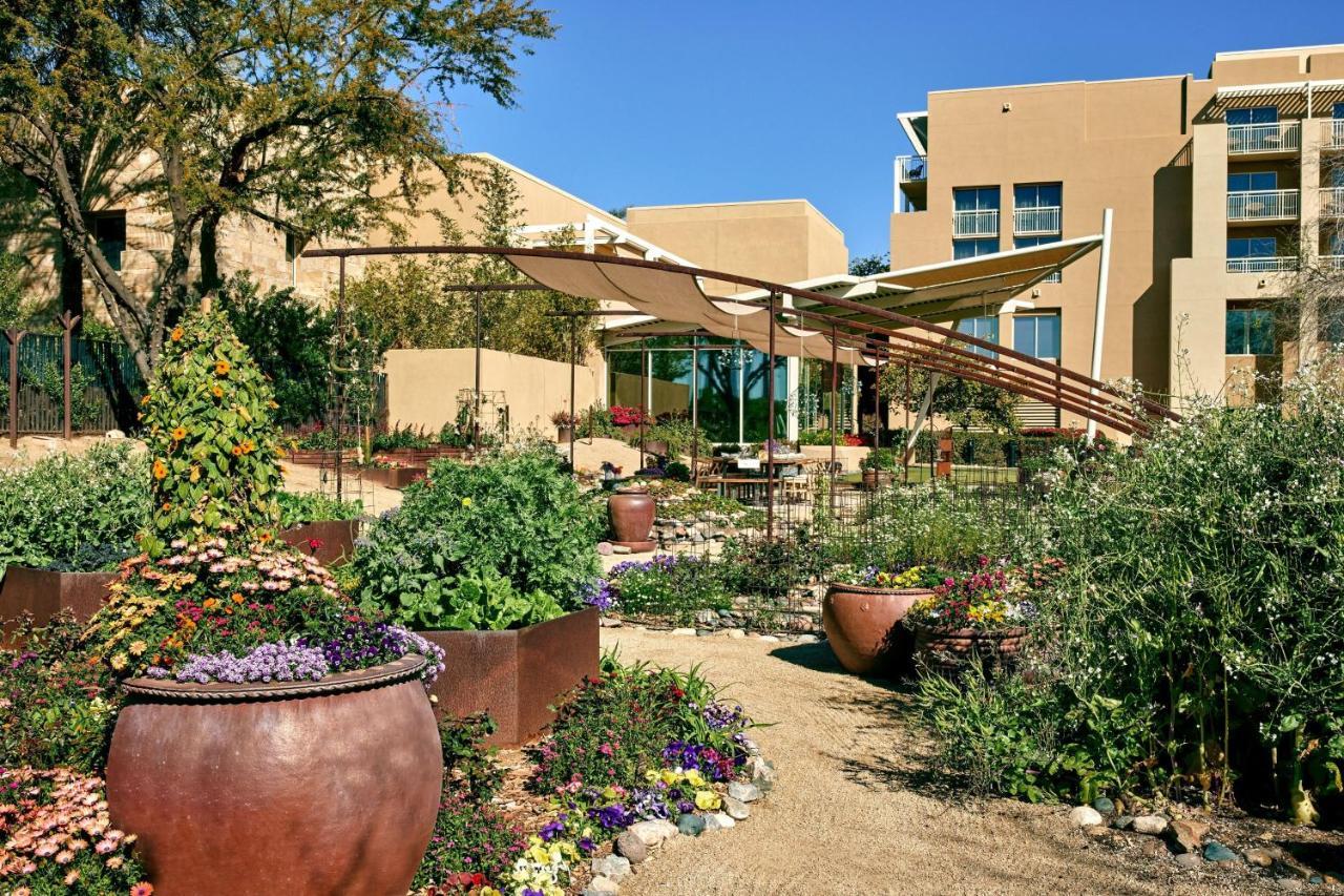 Jw Marriott Phoenix Desert Ridge Resort & Spa Exterior photo